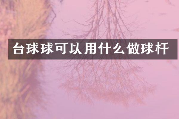 台球球可以用什么做球杆