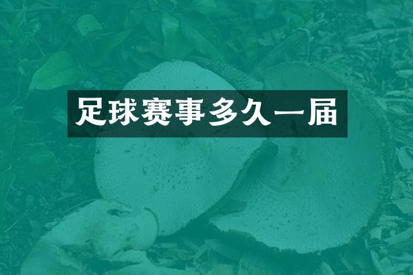 足球赛事多久一届