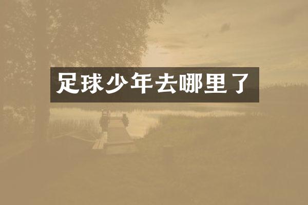 足球少年去哪里了