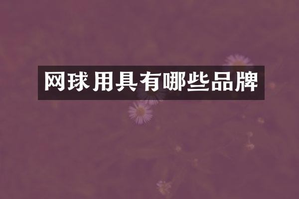网球用具有哪些品牌