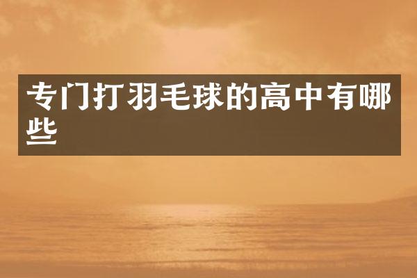 专门打羽毛球的高中有哪些