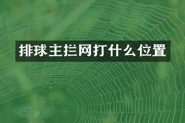 排球主拦网打什么位置