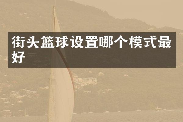 街头篮球设置哪个模式最好