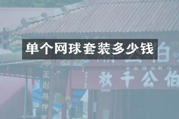 单个网球套装多少钱