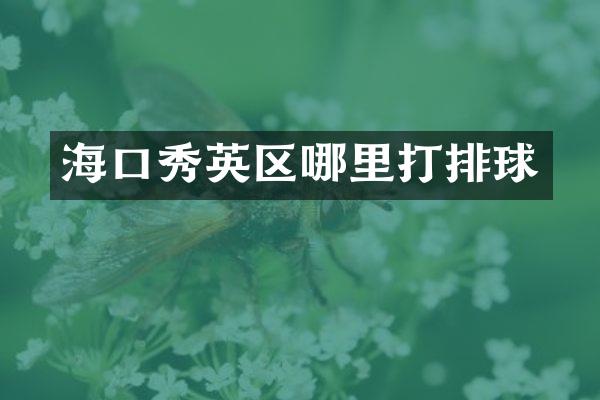 海口秀英区哪里打排球