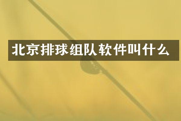 北京排球组队软件叫什么