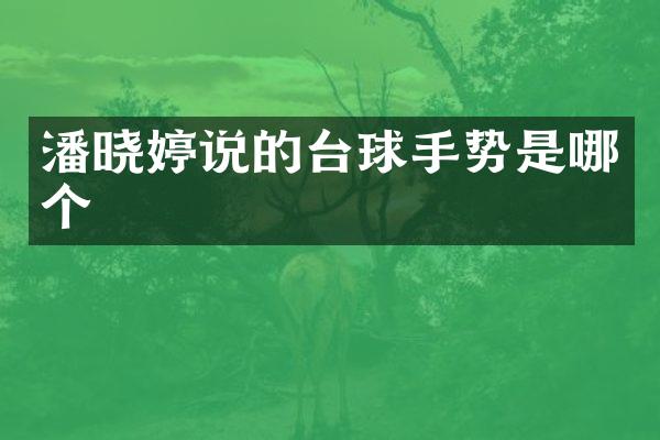 潘晓婷说的台球手势是哪个