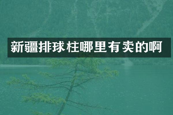 新疆排球柱哪里有卖的啊