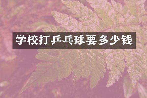 学校打乒乓球要多少钱
