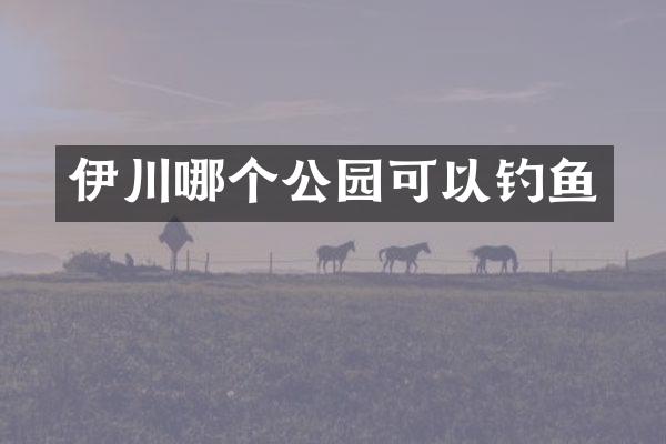伊川哪个公园可以钓鱼