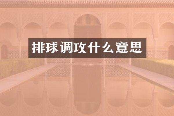排球调攻什么意思