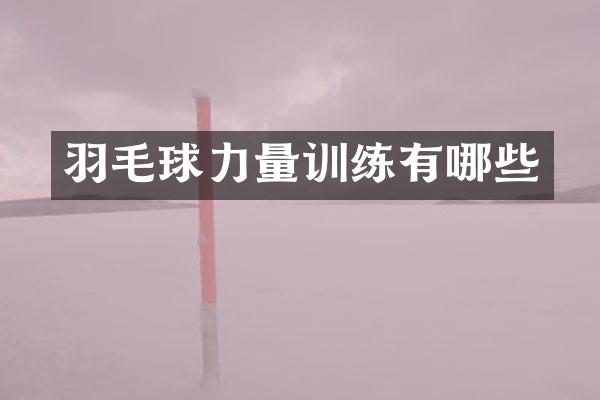 羽毛球力量训练有哪些