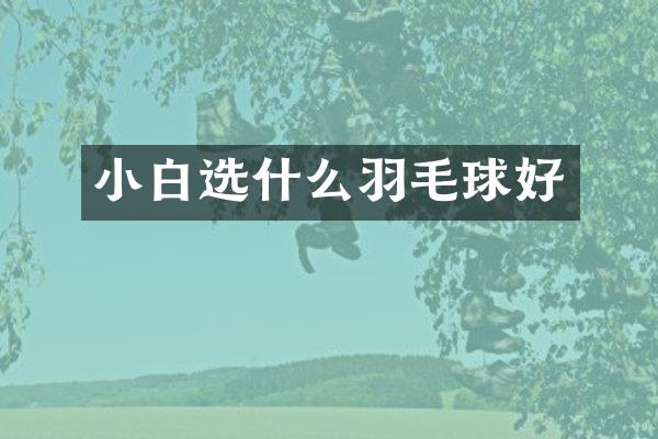 小白选什么羽毛球好