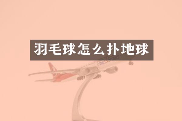 羽毛球怎么扑地球