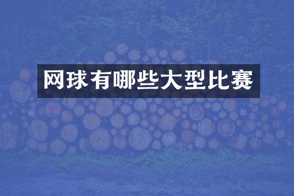 网球有哪些大型比赛