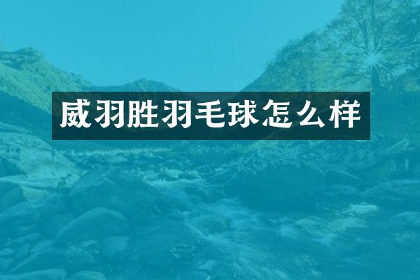 威羽胜羽毛球怎么样