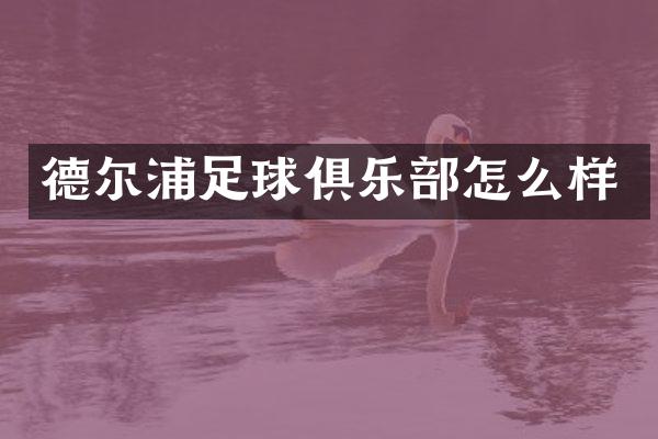 德尔浦足球俱乐部怎么样