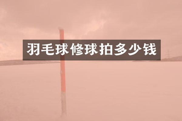 羽毛球修球拍多少钱