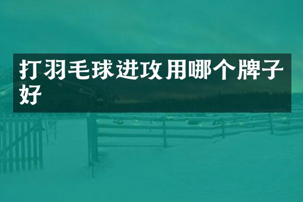 打羽毛球进攻用哪个牌子好