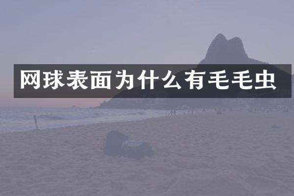 网球表面为什么有毛毛虫