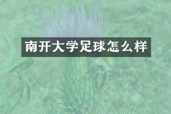 南开大学足球怎么样