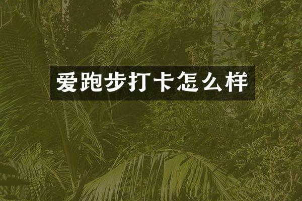 爱跑步打卡怎么样