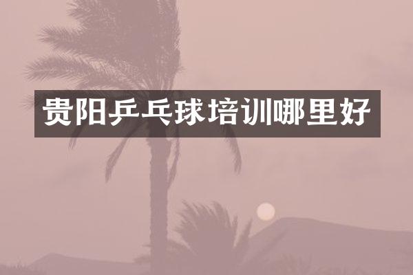 贵阳乒乓球培训哪里好
