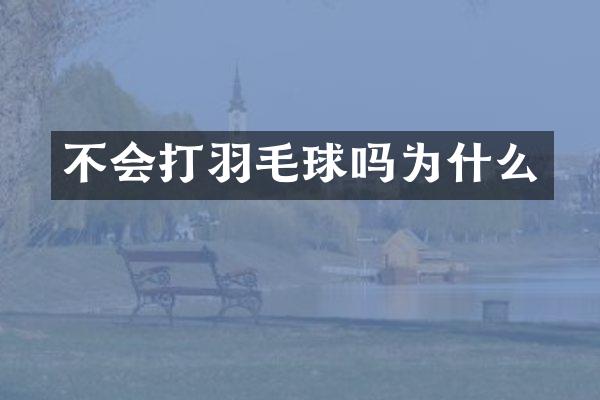 不会打羽毛球吗为什么