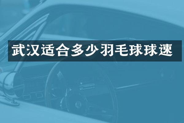武汉适合多少羽毛球球速