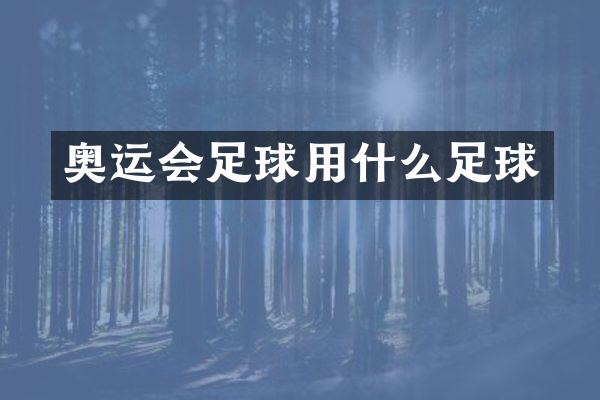 奥运会足球用什么足球