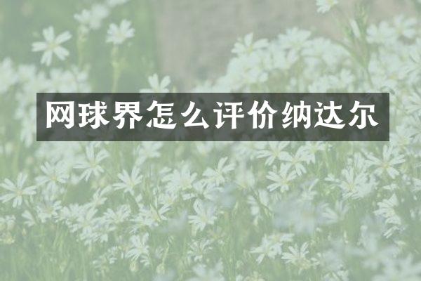 网球界怎么评价纳达尔