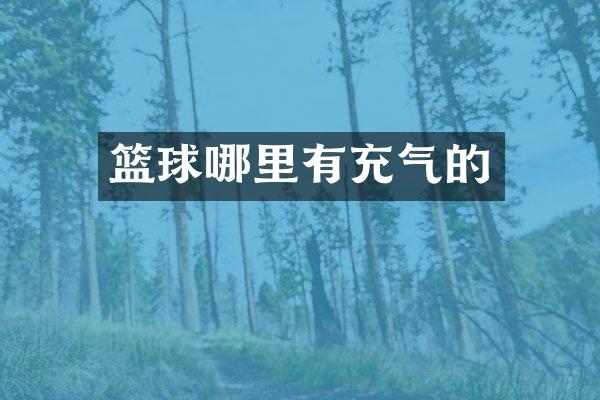 篮球哪里有充气的