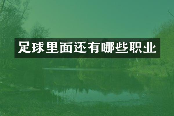 足球里面还有哪些职业