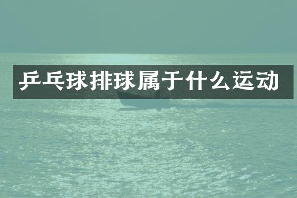 乒乓球排球属于什么运动