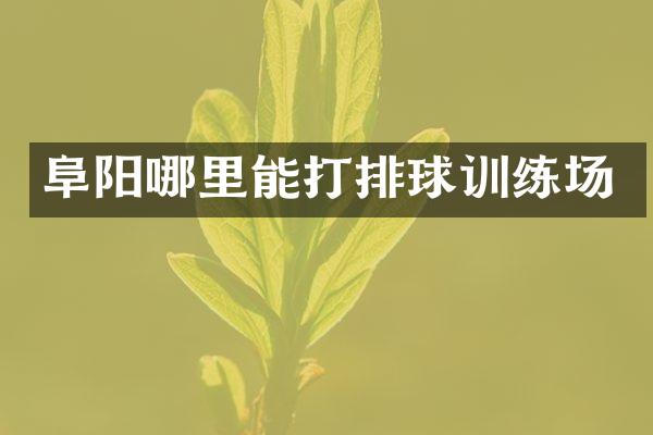 阜阳哪里能打排球训练场