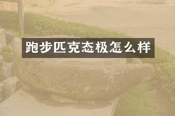 跑步匹克态极怎么样