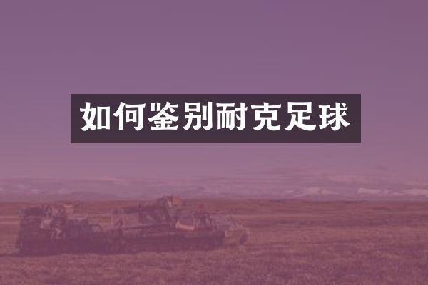 如何鉴别耐克足球