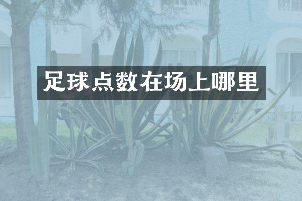 足球点数在场上哪里