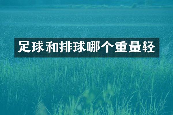 足球和排球哪个重量轻