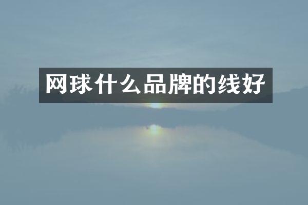 网球什么品牌的线好