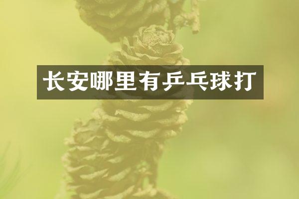 长安哪里有乒乓球打