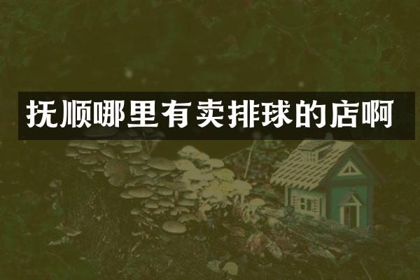 抚顺哪里有卖排球的店啊