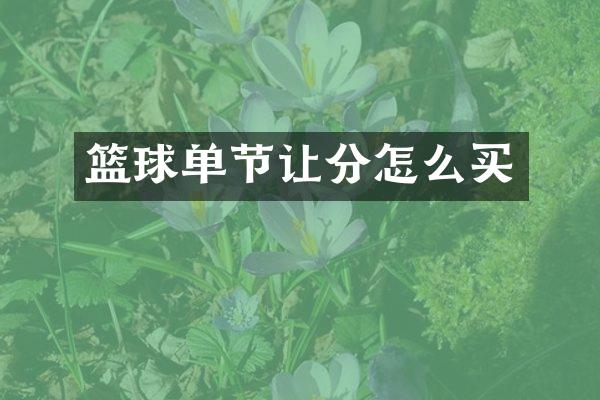 篮球单节让分怎么买