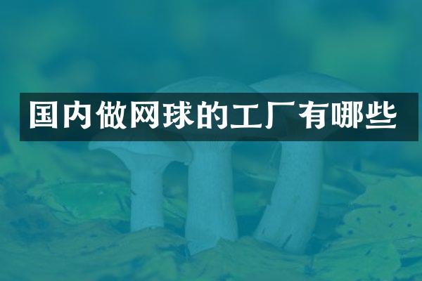国内做网球的工厂有哪些