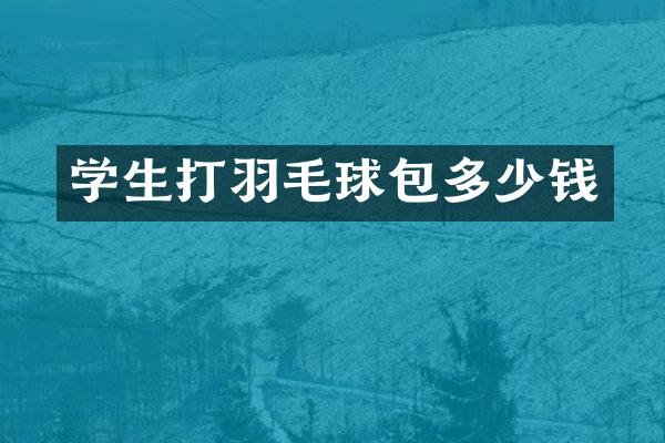 学生打羽毛球包多少钱