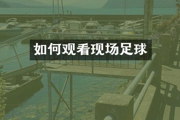 如何观看现场足球