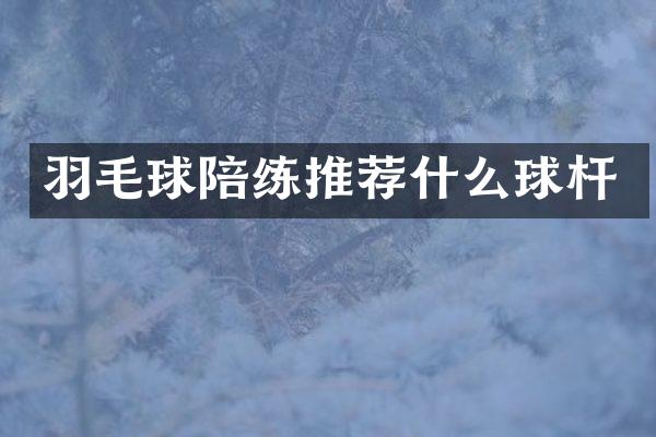 羽毛球陪练推荐什么球杆