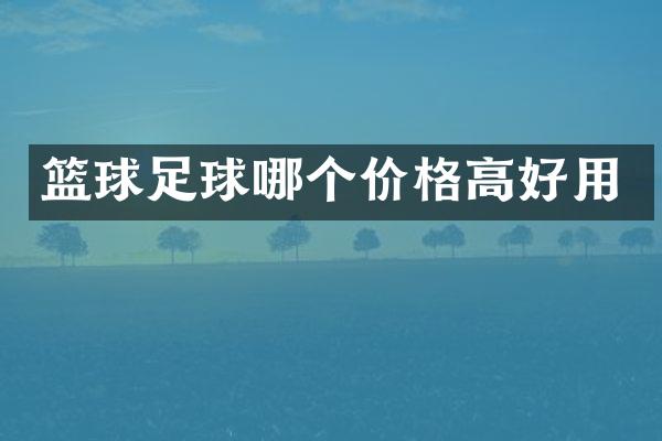 篮球足球哪个价格高好用