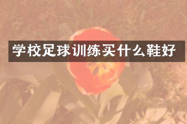 学校足球训练鞋好