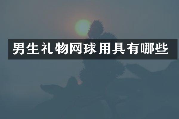 男生礼物网球用具有哪些